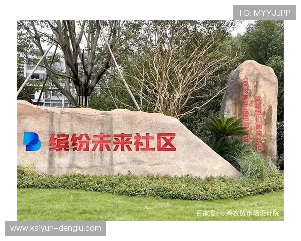 布莱顿球迷文化深度解析与社区归属感探索